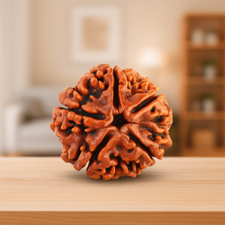 Paanch mukhi rudrakash
