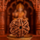 Six mukhi rudrakash