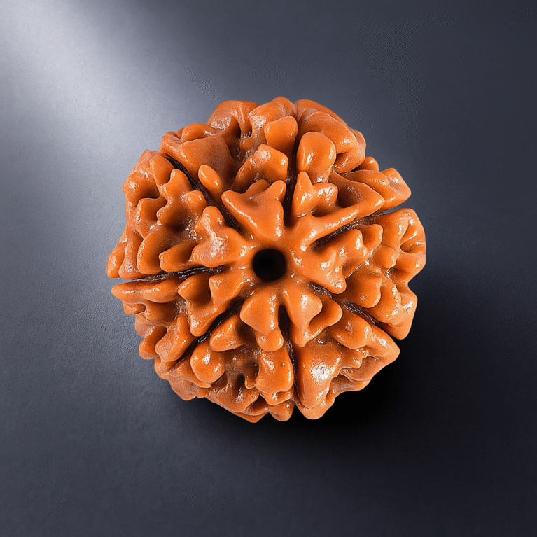 Saat mukhi rudrakash
