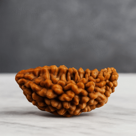 Ek mukhi rudrakash