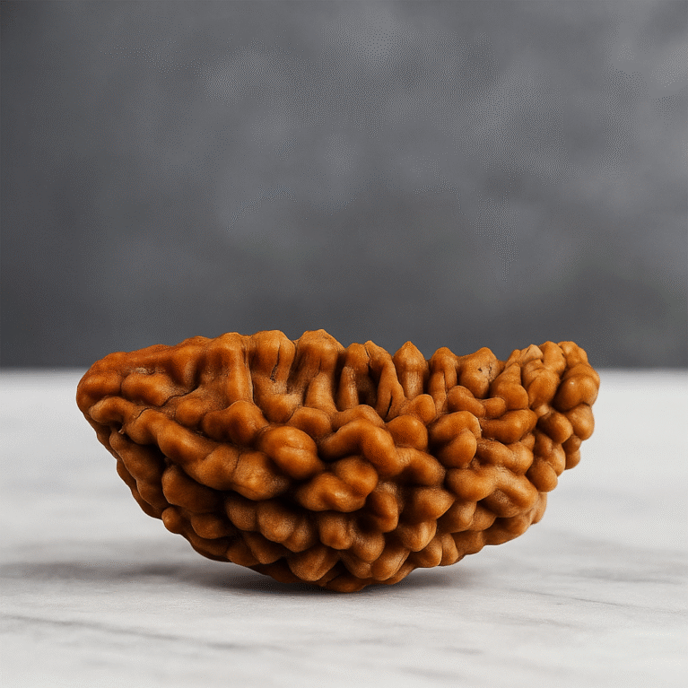 Ek mukhi rudrakash