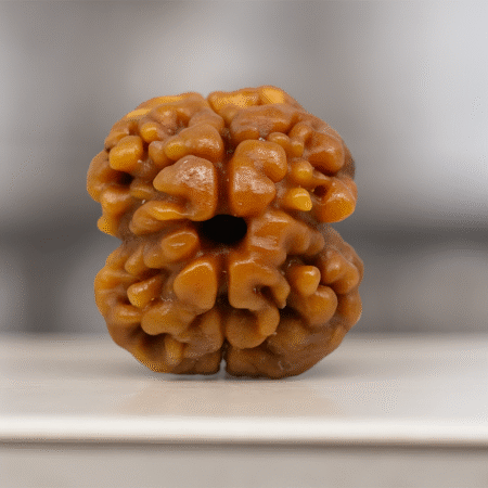 Do mukhi rudraksh
