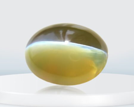 Lehsunia