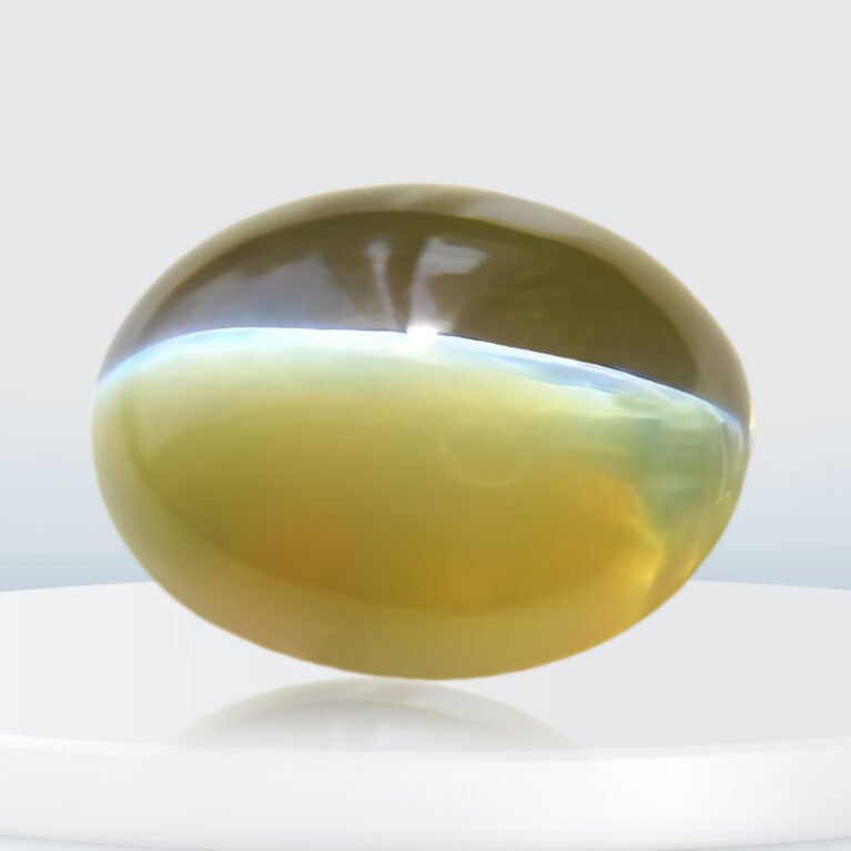 Lehsunia