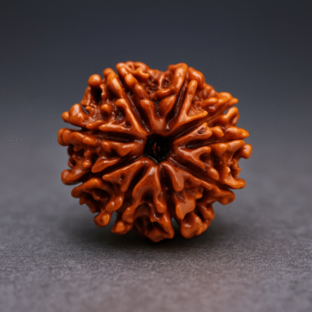Nine mukhi rudrakash