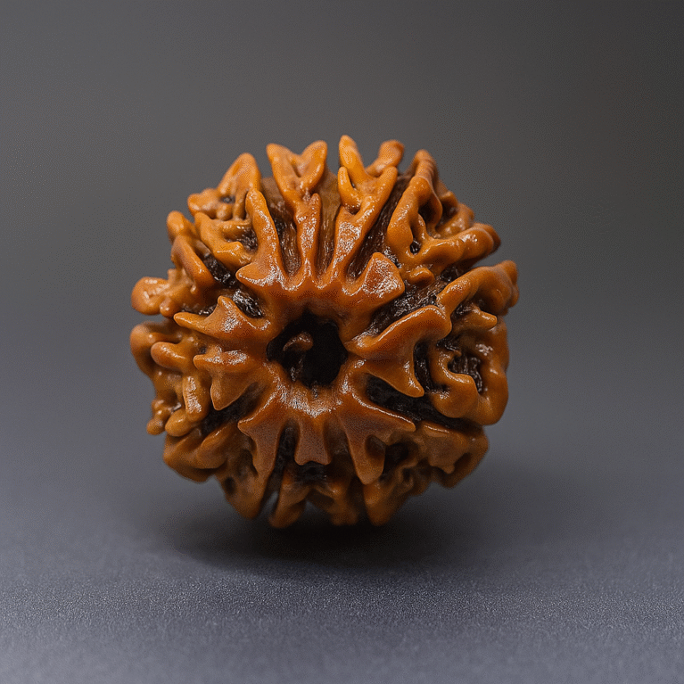 Dus mukhi rudrakash