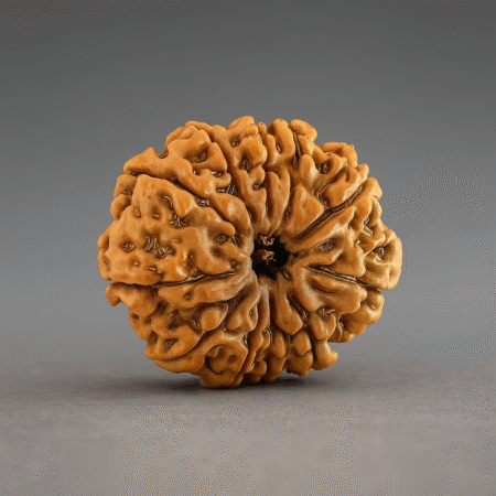 Eleven mukhi rudrakash