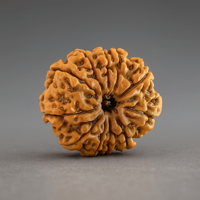 Eleven mukhi rudrakash