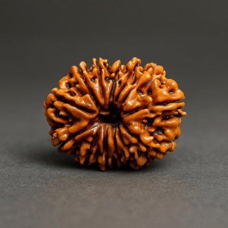 Teera mukhi rudrakash