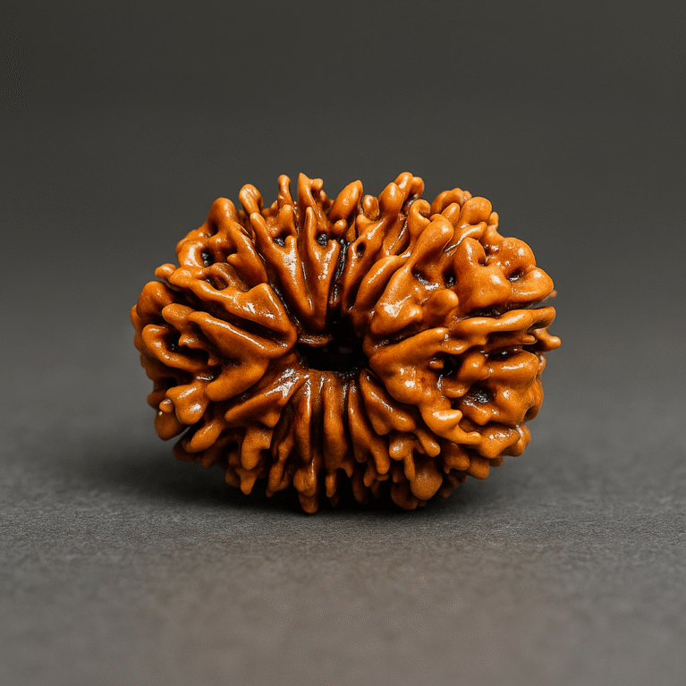Teera mukhi rudrakash