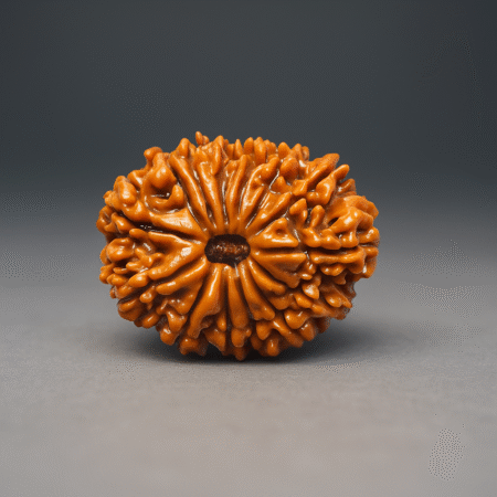 Chaudah mukhi rudrakash